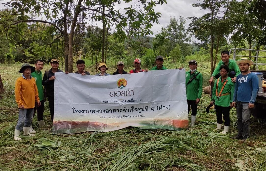 ดอยคำ ชวนชุมชนรอบโรงงานหลวงฯ สานต่อศาสตร์พระราชา รัก(ษ์) ผืนป่าด้วยหัวใจ