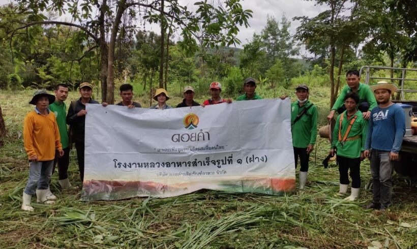 ดอยคำ ชวนชุมชนรอบโรงงานหลวงฯ สานต่อศาสตร์พระราชา รัก(ษ์) ผืนป่าด้วยหัวใจ