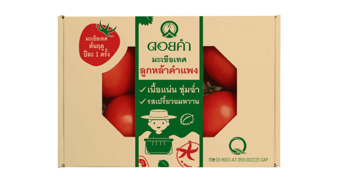 “เติมรสชาติอูมามิจากธรรมชาติ” ให้กับจานอาหาร ด้วยมะเขือเทศลูกหล้าคำแพง (ลูกหล้าขนตางอน)