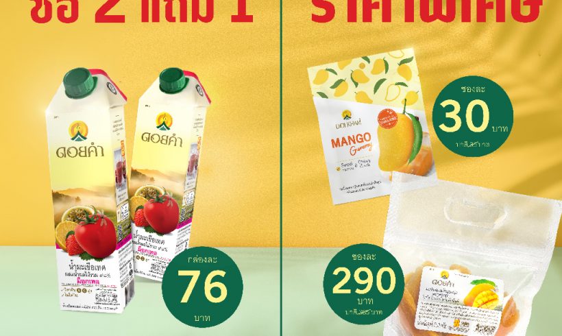 โปรโมชันสุดพิเศษ